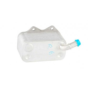 Radiateur d'Huile Moteur Pour VW EOS Golf Plus V VI Audi Seat Skoda 06D117021C