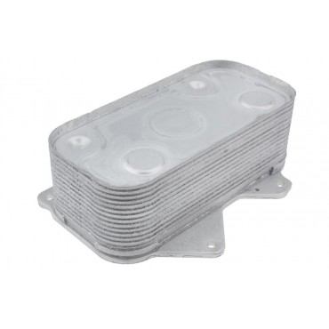 Radiateur d'Huile Moteur Pour VW Phaeton Audi A6 A8