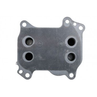 Radiateur d'Huile Moteur Pour VW Arteon Golf VIII Audi Seat Skoda 05L117021C