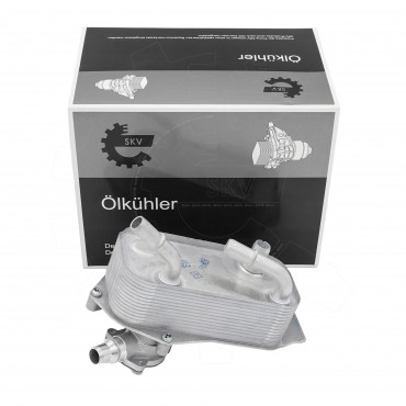 Radiateur d'Huile Moteur Pour BMW Série 1 E81 E82 E87 E88 3 E90 E91 17217551647