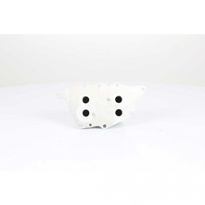 Radiateur d'Huile Moteur Pour BMW i8 I12 Série 1 F20 F21 2 F45 F46 X1 F48 Mini