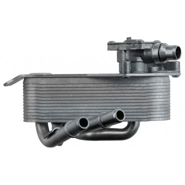 Radiateur d'Huile Moteur Pour BMW Série 1 E82 E88 3 E90 E91 E92 E93 17217536929