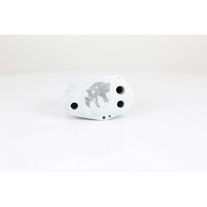 Radiateur d'Huile Moteur Pour BMW Série 3 E46 5 E39 7 E38 X5 E53 11422247204