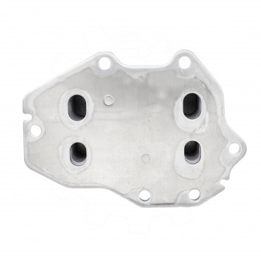 Radiateur d'Huile Moteur Pour BMW X4 F98, G02 X5 F95, G05 Z4 G29 11428580414