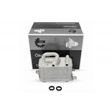 Radiateur d'Huile Moteur Pour BMW X5 E53 17117534896 17217534896