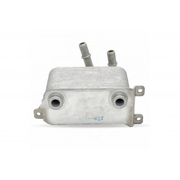 Radiateur d'Huile Moteur Pour BMW X5 E53 17117534896 17217534896