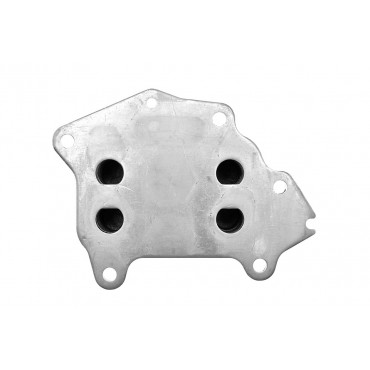 Radiateur d'Huile Moteur Pour Peugeot Ford Toyota Suzuki 1660073J00 1703252