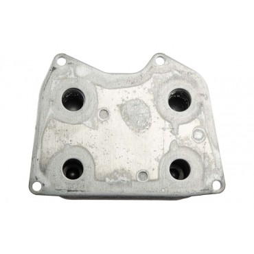 Radiateur d'Huile Moteur Pour VW Touareg 077117021P