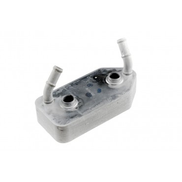 Radiateur d'Huile Boite Auto Pour VW Bora Audi Seat Skoda 096409061D 096409061F