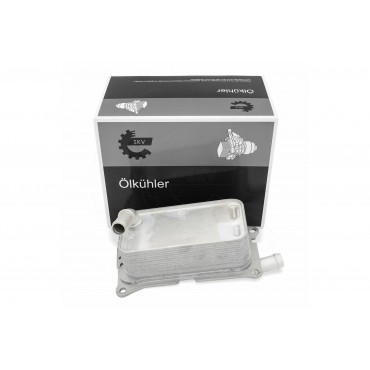 Radiateur d'Huile Boite Auto Pour Mercedes-Benz CLA Classe A B GLA 2465010101