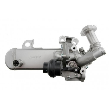 Radiateur de Vanne EGR Pour Nissan Cabstar NP300 NT400 Pathfinder III 147355X00A