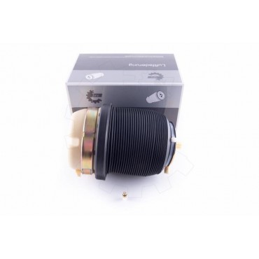 Amortisseur de Suspension Pneumatique Arrière Pour Audi A6 4F0616001 4F0616001J