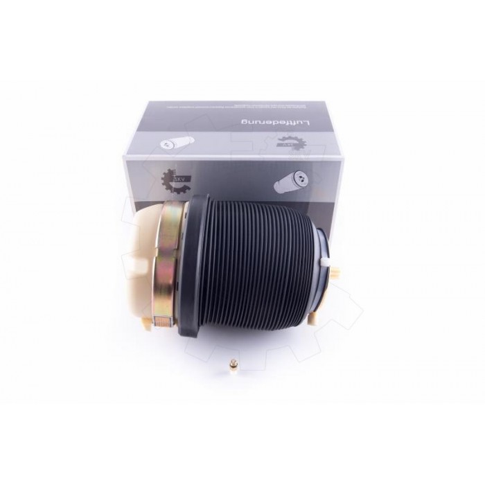 Amortisseur de Suspension Pneumatique Arrière Pour Audi A6 4F0616001 4F0616001J