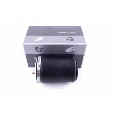 Amortisseur Pneumatique Arrière Gauche Pour BMW Série 5 E39 37121094613