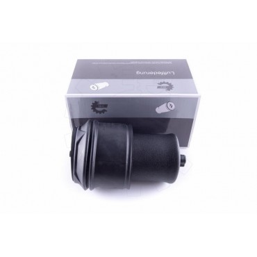 Amortisseur Pneumatique Arrière Pour Peugeot Fiat Citroën Jumpy 5102GP 5102R9