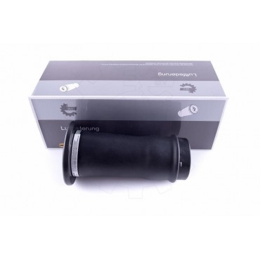 Amortisseur Pneumatique Arrière Pour Land Rover Discovery II RKB101200