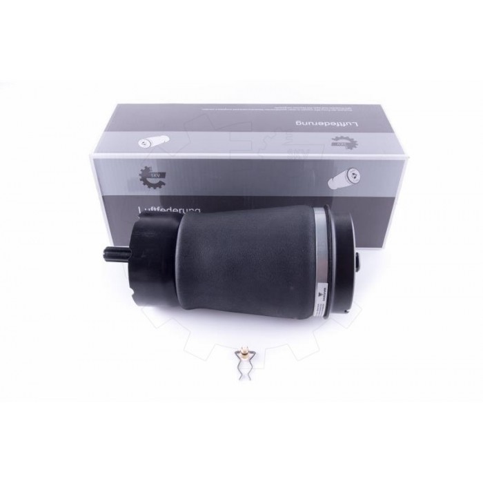 Amortisseur Pneumatique Arrière Pour Land Rover Range Rover III RKB500240