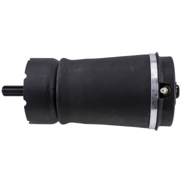 Amortisseur Pneumatique Arrière Pour Land Rover Range Rover III RKB500240