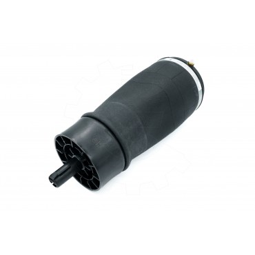 Amortisseur Pneumatique Arrière Pour Land Rover Range Rover Sport LR044853