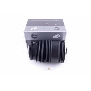 Amortisseur Pneumatique Arrière Gauche Pour Mercedes-Benz Classe C E 2053200125