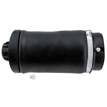Amortisseur Pneumatique Arrière Pour Mercedes-Benz Classe R A2513200325