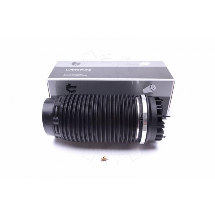 Amortisseur Pneumatique Arrière Pour RAM 1500 Crew Cab Pick-up 68248948AA