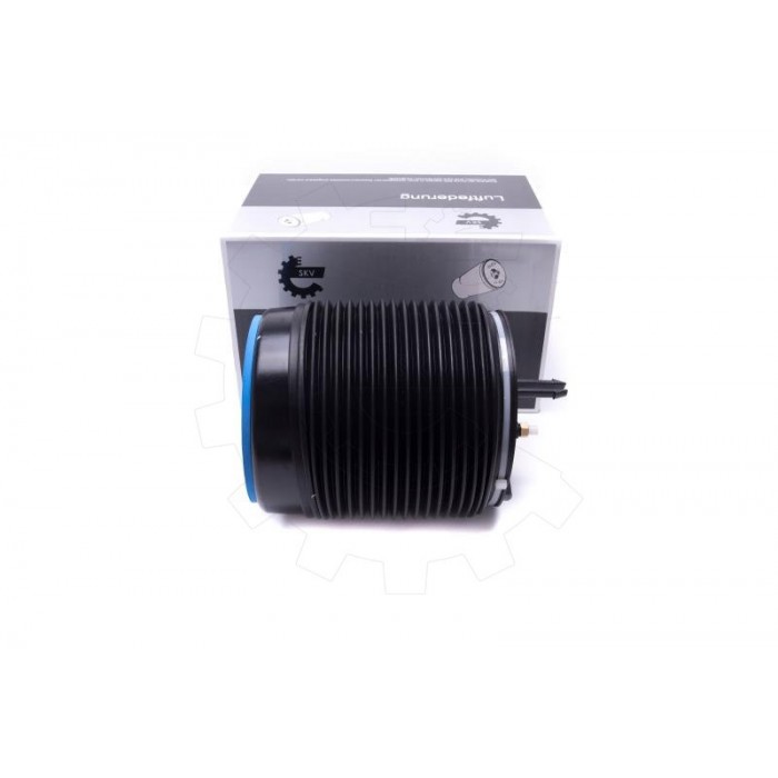 Amortisseur Pneumatique Arrière Gauche Pour Volvo V90 II XC60 XC90 32246195