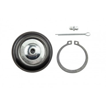 Rotule de Suspension Pour Acura RSX Coupé Honda CR-V II Element FR-V