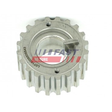 Poulie d'Arbre à Cames Pour Renault Clio II III Kangoo Laguna Megane Modus