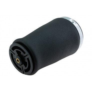 Ressort Pneumatique Arrière Gauche Pour BMW Série 5 E39 37121094613