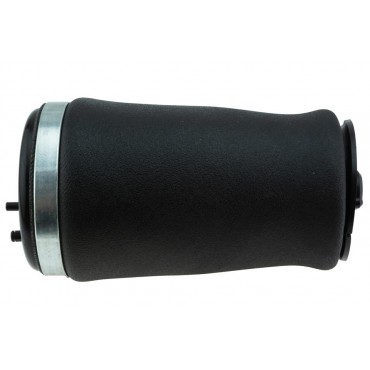 Ressort Pneumatique Arrière Gauche Pour BMW Série 5 E39 37121094613