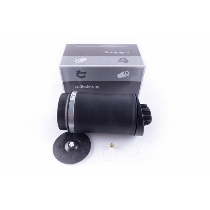 Ressort Pneumatique Arrière Pour Mercedes-Benz Classe R 2513200025 2513200325
