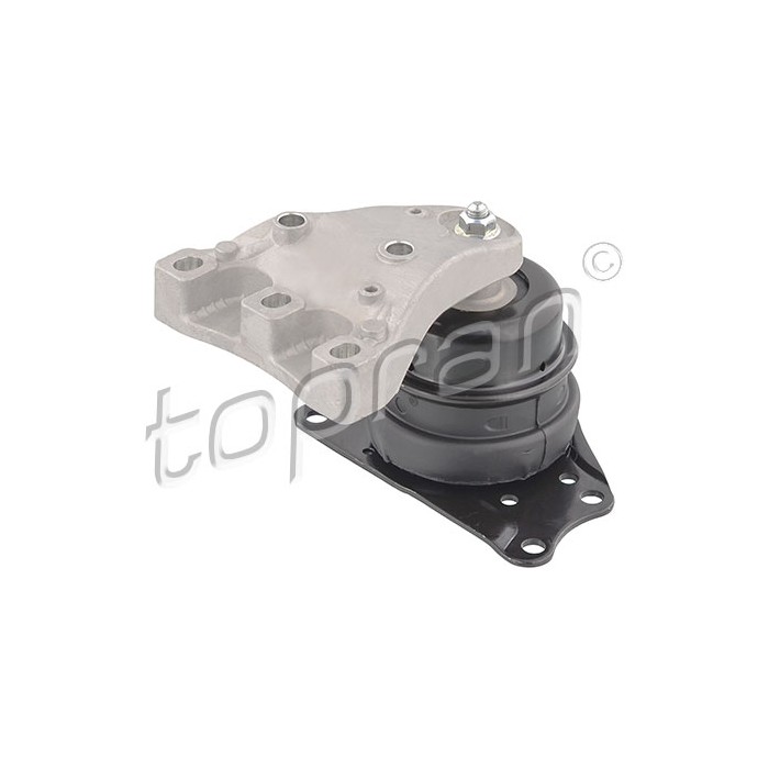Support Moteur Droit Pour VW Audi Seat Skoda 6Q0199167AQ 6Q0199167BM 6Q0199167CJ