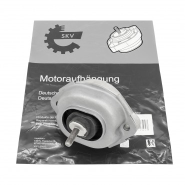 Support Moteur Pour BMW X5 E53 22116758444 22116770638