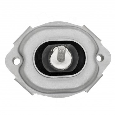 Support Moteur Pour BMW X5 E53 22116758444 22116770638