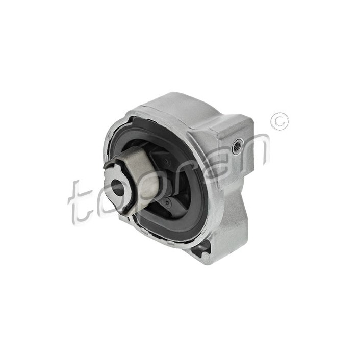 Support Moteur Arrière Droit Pour Mercedes-Benz Classe A B 1692401018
