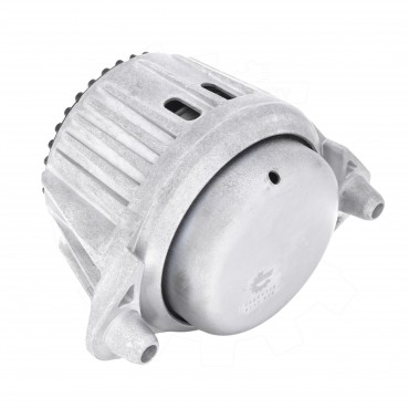 Support Moteur Droit Pour Mercedes-Benz Classe E T-Model CLS A2042406017