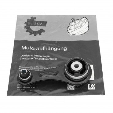 Support Moteur Arrière Pour Renault Clio II Kangoo Thalia I 7700415088