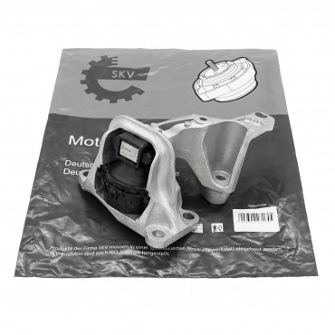 Support Moteur Droit Pour Renault Fluence Grand Scénic III Megane CC 112100014R