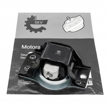 Support Moteur Droit Pour Renault Grand Scénic II Megane 8200044925 8200338381