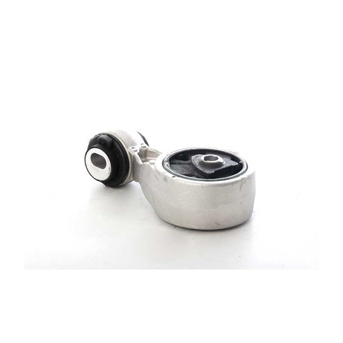 Support Moteur Droit Pour Renault Grand Scénic II Kangoo Megane 8200355673