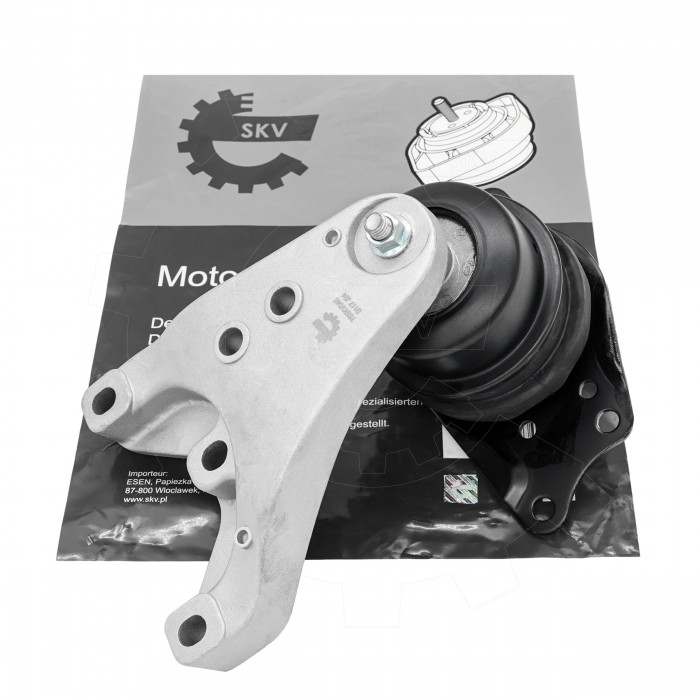 Support Moteur Droit Pour VW Seat Skoda 6Q0199167CA 6Q0199167CQ 6Q0199167DH