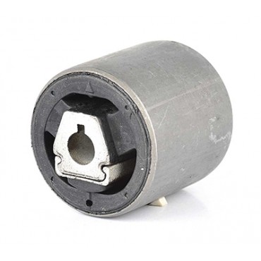 Silent Bloc de Bras de Suspension Pour BMW X5 E53 1096372 31121096372