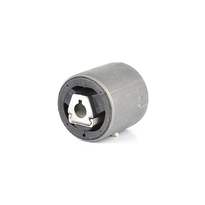 Silent Bloc de Bras de Suspension Pour BMW X5 E53 1096372 31121096372