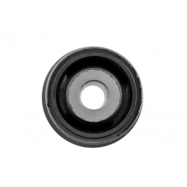 Silent Bloc de Bras de Suspension Pour Dodge RAM 1500 Pick-up 55366746AB