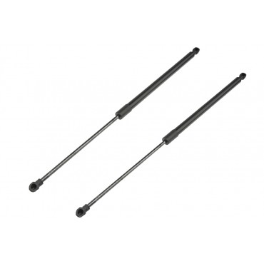 x2 Vérin Hayon de coffre...