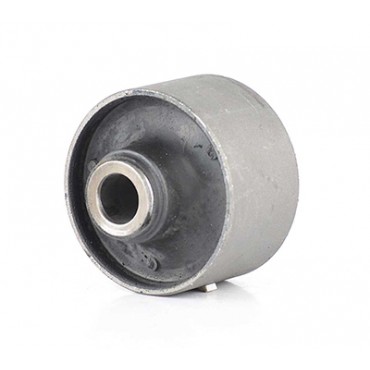 Silent Bloc de Bras de Suspension Pour Hyundai Accent II 5455525000