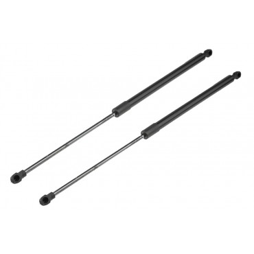 x2 Vérin Hayon de coffre...