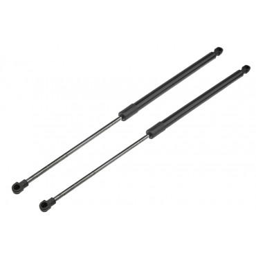 x2 Vérin Hayon de coffre...