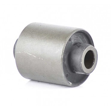 Silent Bloc de Bras de Suspension Pour Land Rover Freelander RBX101160 RBX101790